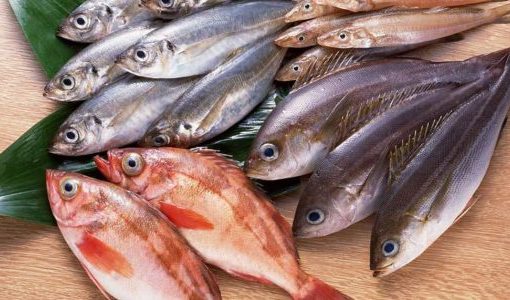 تفسير حلم السمك للمتزوجة والعزباء