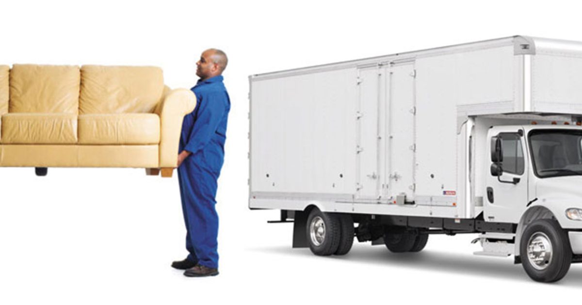 خدمات نقل العفش وتركيب طارد الحمام بالطائف