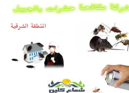 أفضل شركة مكافحة حشرات بالجبيل