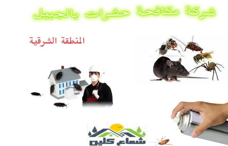 أفضل شركة مكافحة حشرات بالجبيل