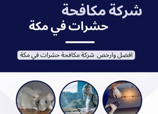 شركة مكافحة حشرات بجدة (0562565771) – القضاء التام على الحشرات بأحدث الأساليب والمبيدات الآمنة شركة مكافحة حشرات بجدة