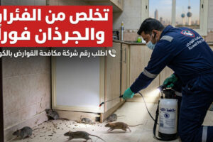 شركة مكافحة الصراصير بالكويت