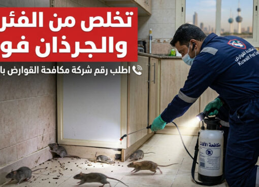 شركة مكافحة الصراصير بالكويت